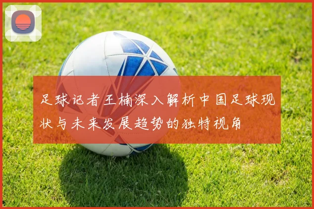 足球记者王楠深入解析中国足球现状与未来发展趋势的独特视角