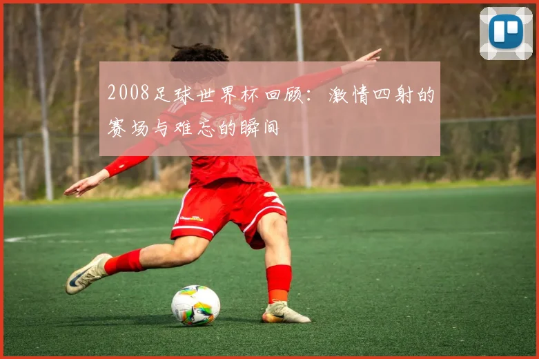 2008足球世界杯回顾：激情四射的赛场与难忘的瞬间