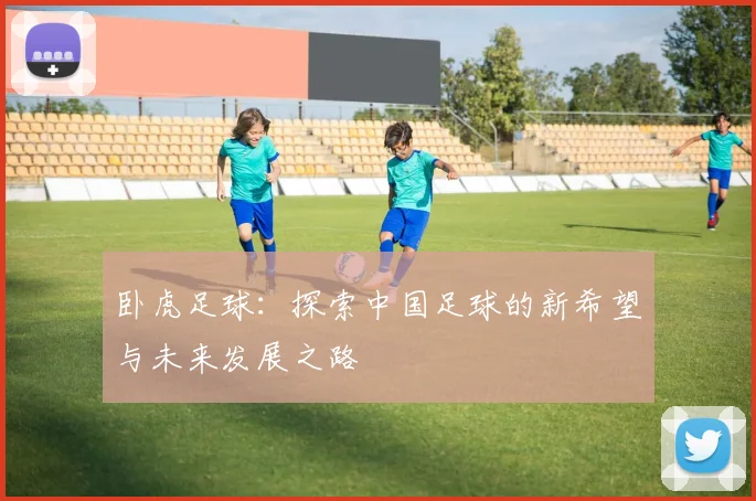卧虎足球：探索中国足球的新希望与未来发展之路