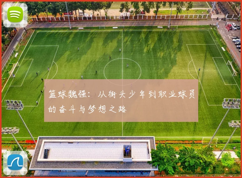 篮球魏强：从街头少年到职业球员的奋斗与梦想之路